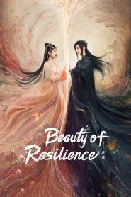 Beauty of Resilience MMSub
