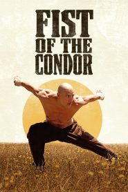 Fist of the Condor MMSub