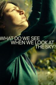 What Do We See When We Look at the Sky? MMSub
