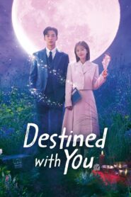 Destined with You MMSub