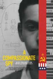 A Compassionate Spy MMSub
