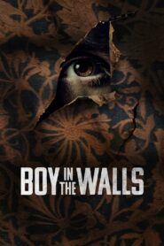 Boy in the Walls MMSub