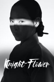 Knight Flower MMSub