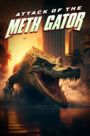 Attack of the Meth Gator MMSub