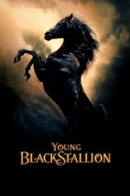 Young Black Stallion MMSub