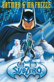 Batman & Mr. Freeze: SubZero MMSub
